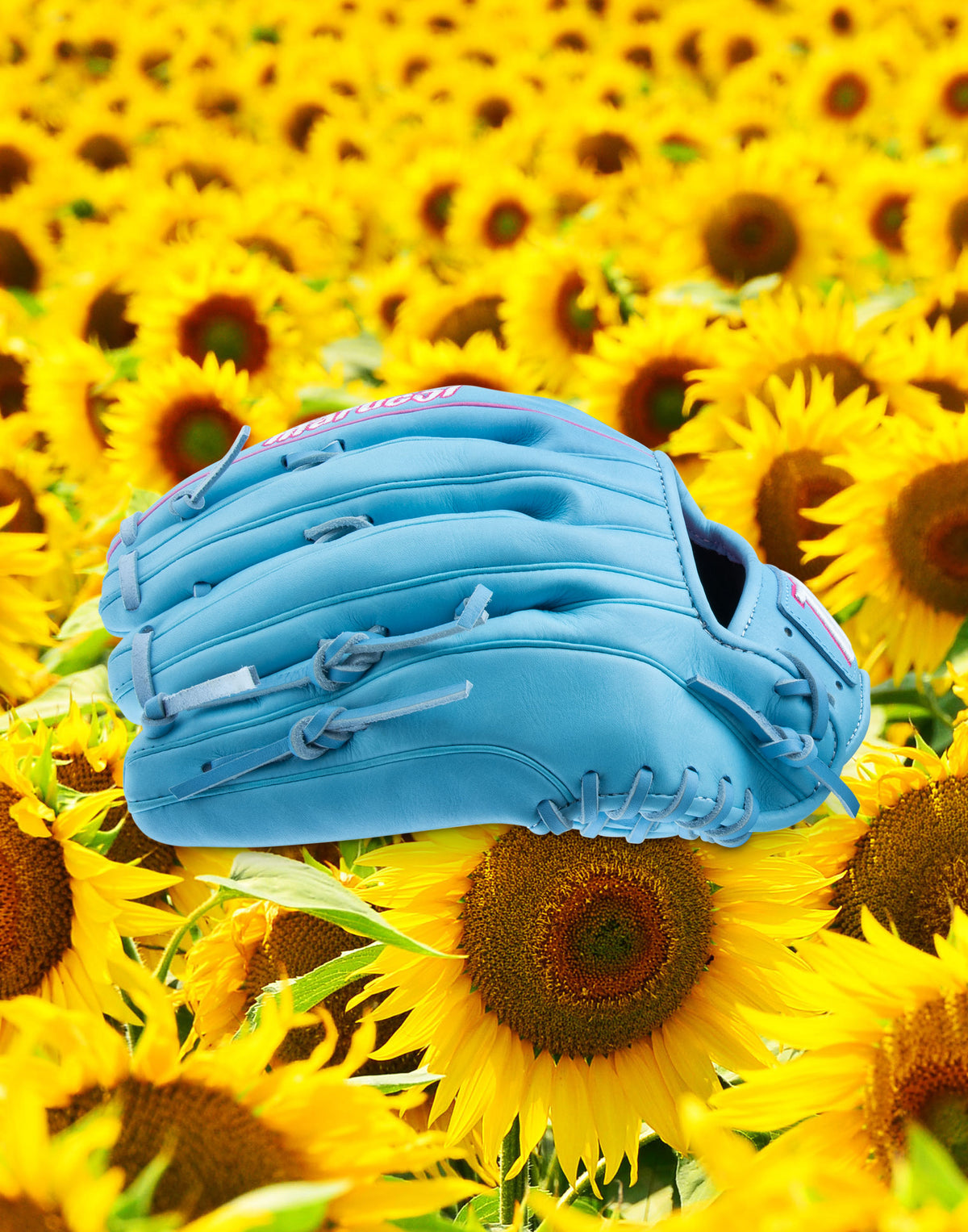 Marucci Nightshift Lorenz 12.5" RHT Outfield Fastpitch Glove